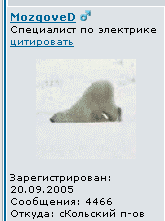 111.png