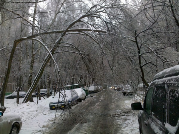 2010-12-26_11-55-11_791.jpg