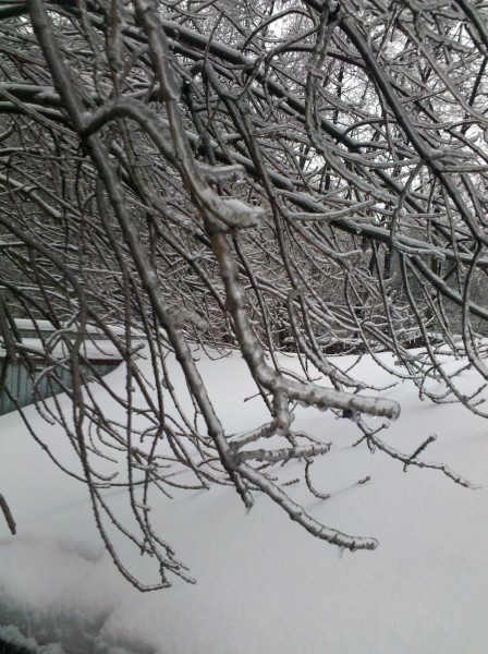 2010-12-26_11-38-27_910.jpg