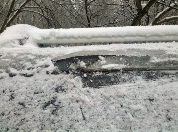 2010-12-26_11-38-20_15.jpg