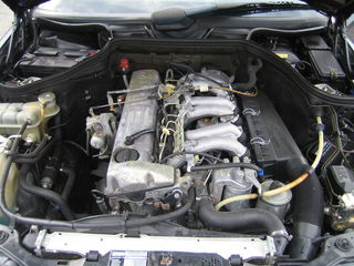 3678207.jpg