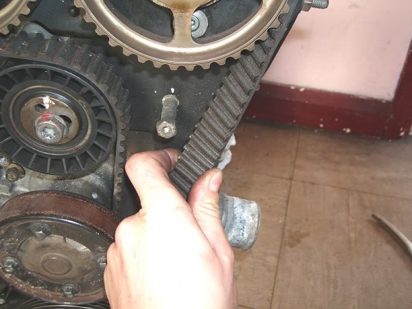 100d4168.jpg