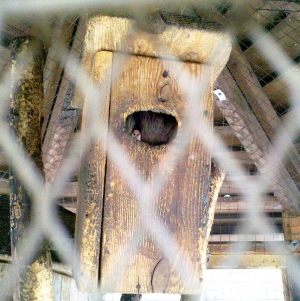 2011-02-27_13-09-47_371.jpg