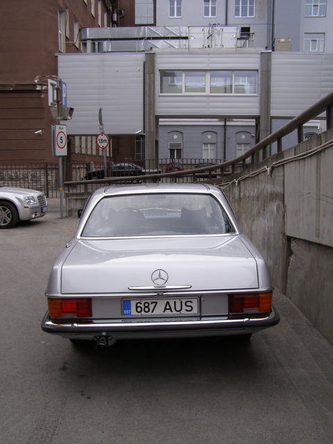 3692549.jpg