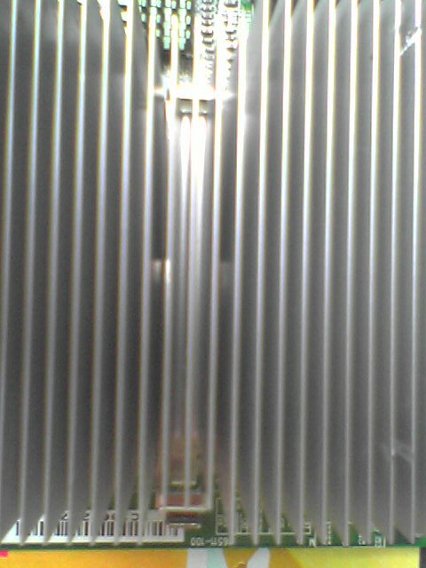 Foto 1903.jpg