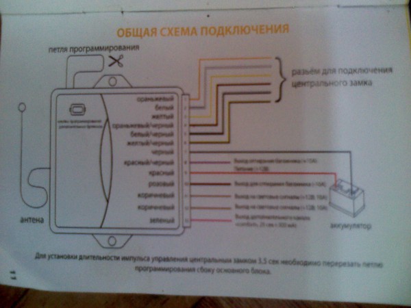 IMG_20110611_115104.jpg