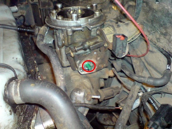t_6_501.jpg