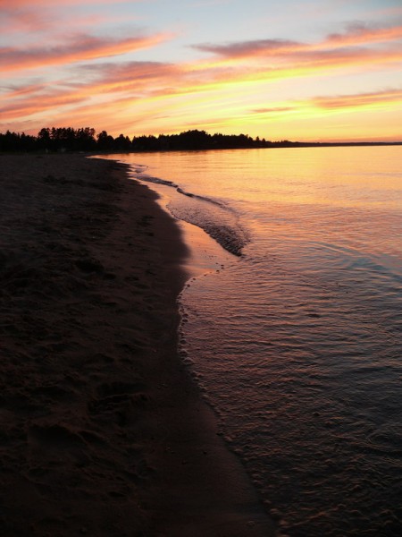 P1290069_600x800.JPG
