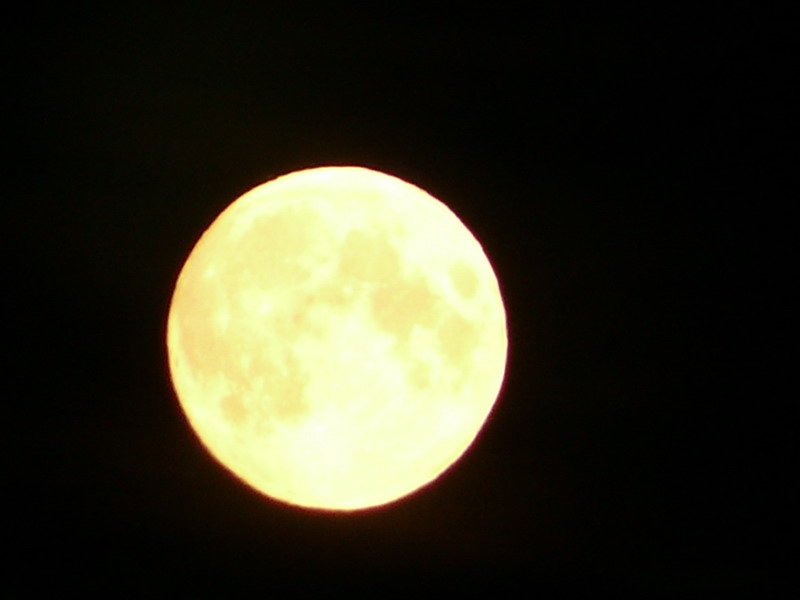 P1290084_800x600.JPG