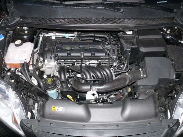 P1320012_800x600.JPG
