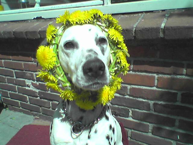 Foto 1763.jpg