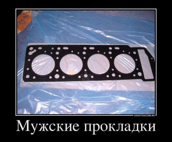 y_b6cd1925.jpg