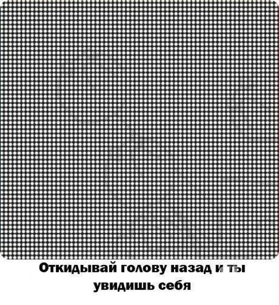 720877.jpg