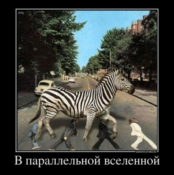 81359182_-v-parallelnoj-vselennoj-.jpg