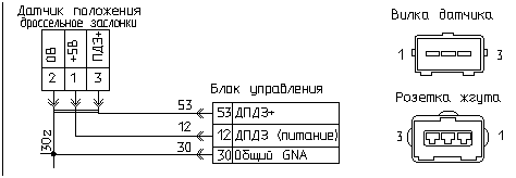 dpdz.gif