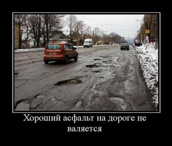 x_14b68cc9.jpg