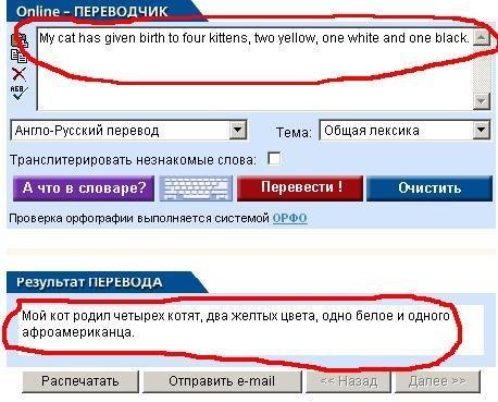 x_e9637c10.jpg