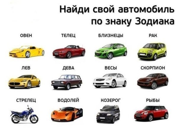 .jpg