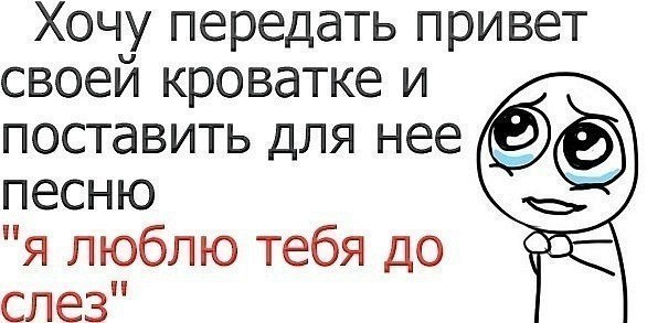 x_99878241.jpg