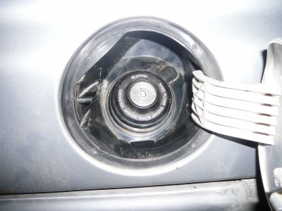 P1100024.jpg