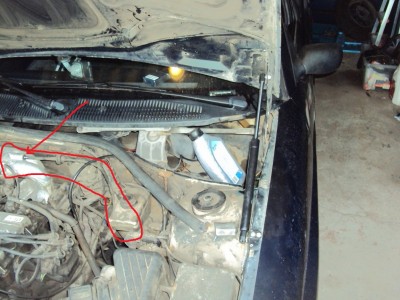 88ce2d7842fdf71e-large.jpg