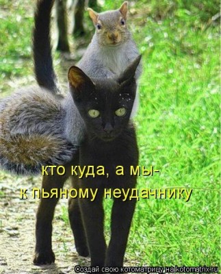 gH0oubKXoxs.jpg