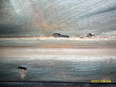 SSA42325.JPG