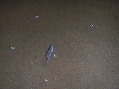 DSCN2474.JPG