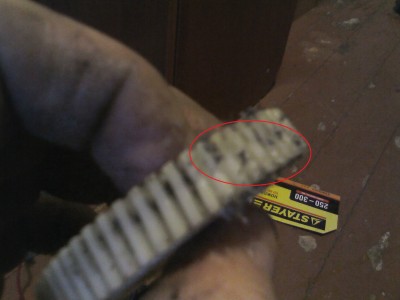 IMG00333.jpg