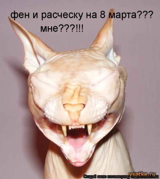 29adc60e3d62e1363cefff70461c2298.jpg