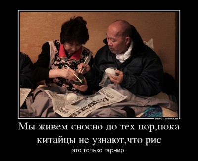 19921602_myi-zhivem-snosno-do-teh-porpoka-kitajtsyi-ne-uznalichto-ris.jpg