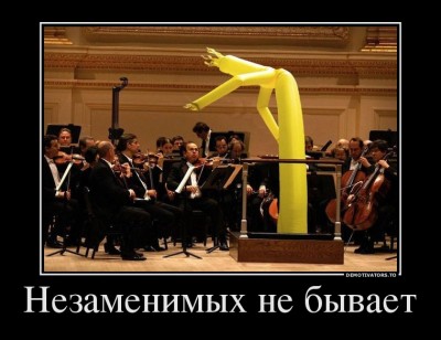 2634397_nezamenimyihne-byivaet.jpg