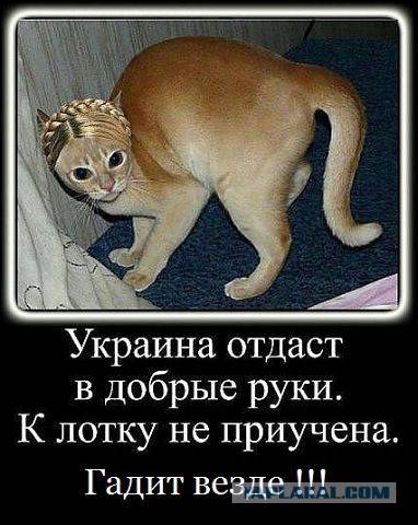 fb15e0431032c78c8a566c609d2194402ecb38179681526.jpg
