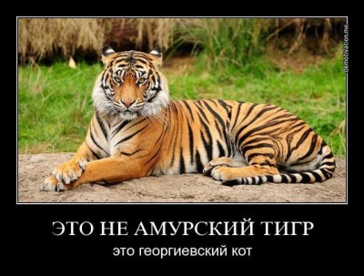 4973650_m.jpg