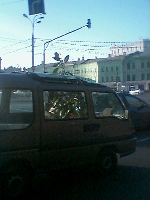 68JE0003.jpg