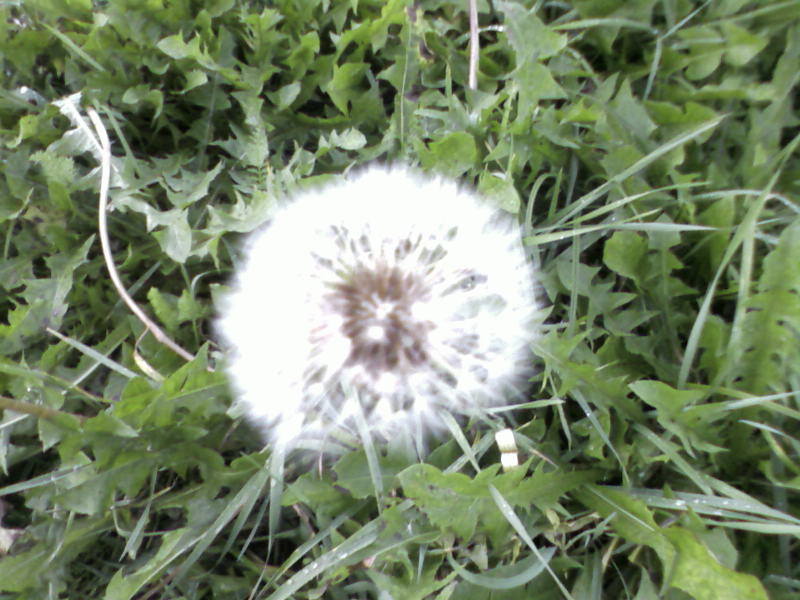 Img43240000.jpg