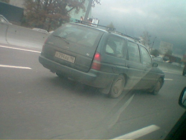 е294ае98.jpg