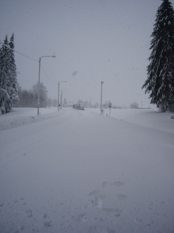 IMGP0529.jpg