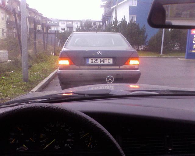 Большой брат....JPG