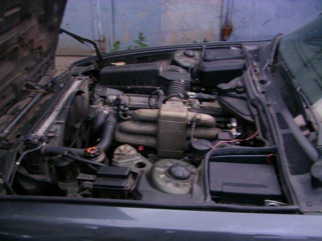 SANY3110_640x480.JPG