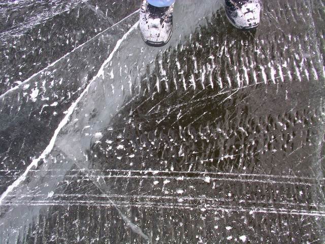 SANY0633_640x480.JPG