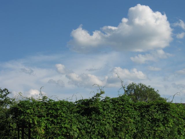 IMG_1091.jpg