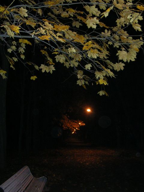 DSCN1268.JPG