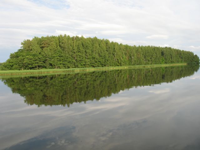 IMG_1213.jpg