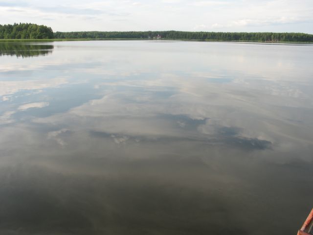 IMG_1211.jpg