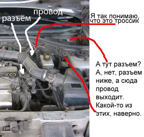 датчик.jpg