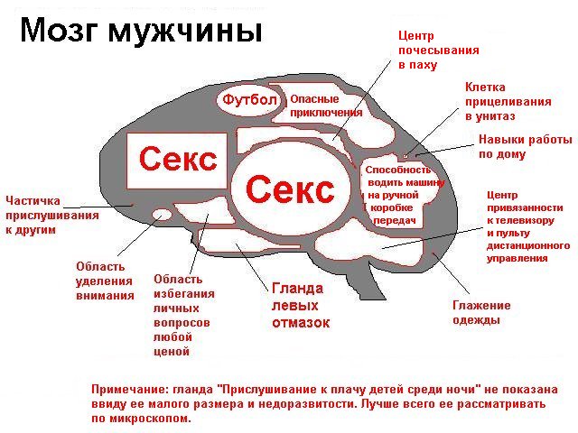 prikol_504_01.jpg