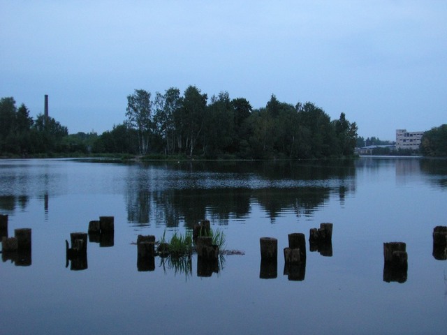 P8203626.JPG