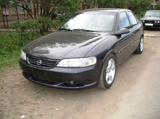 IMGP5217.JPG