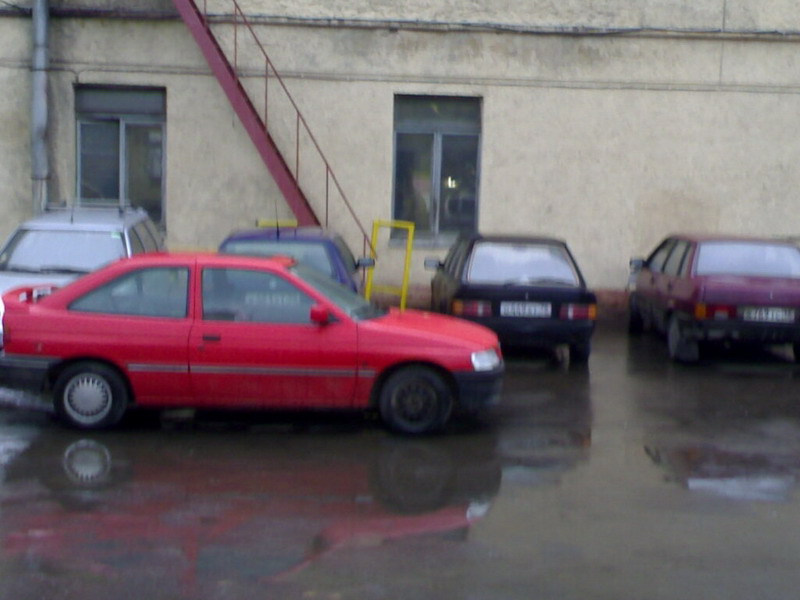 03042007138.jpg